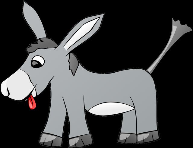 沙巴体育官网首页